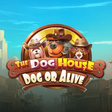 Топовый игровой слот The Dog House Dog or Alive на vodka bet casino официальный
